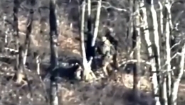 Drone targets 3 Russian soldiers in the woods