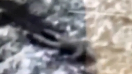 Omega Company show Russia KIA in the East