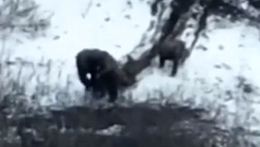 Grenade is dropped by a drone and bounces into a RU trench