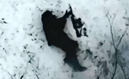 Alone Russian soldier is targeted by a Ukrainian drone