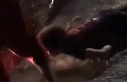 Father stomps guy who disrespected his daughter