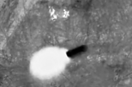 Ukrainian drone hitting 2 Russian soldier