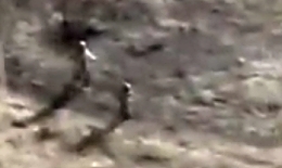 The German anti-tank mine action fried the Wagner