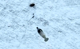 Dropping UA grenades on the RU group