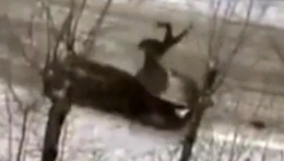 Fatal hit of a car into a pedestrian in Severodvinsk