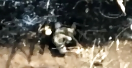 Omega Group dropping grenades on Russians in Bakhmut