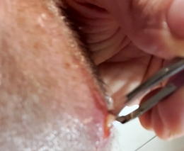 A souvenir from the Amazon forest