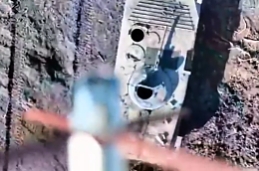 The daily hatch shot