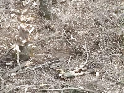 Ukrainian UAV drops explosives on Russian troops (clear)