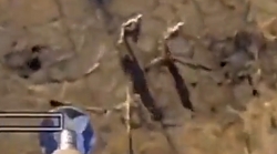 UA Kamikaze drone hits near a small RU infantry group out in the open