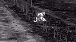 RU forces are hit at night by drones and artillery