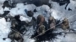 Russian artillery hitting Ukrainian infantry - Svatovo