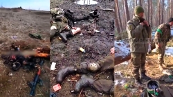 Compilation of Ukrainian casulties from this winter