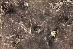 UAF halt RU assault squad