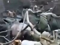 UAF film RU KIA around their position after failed assault