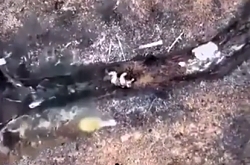 Russian fails to escape a drone dropped grenade