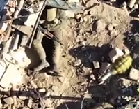 ORC having a good time ... had