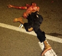 Roadkill in Trinidad