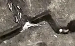 Russian soldier gets hit in the helmet in close combat