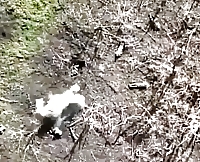 Drone of Ukrainian forces dropping grenades