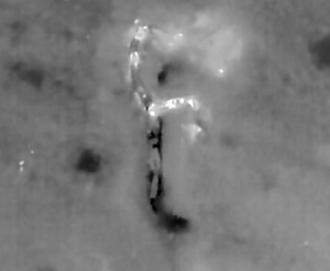 Thermal camera grenade drop on Russian soldiers