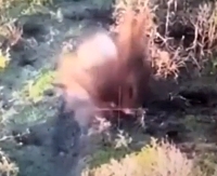 A direct mortar hit on a RU dugout with soldiers inside