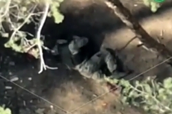 Hunting ORCS in the woods