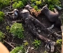 UA soldiers walk through a trench that has many RF bodies in it