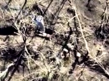 Russian drone drops munitions on a group of UAF soldiers