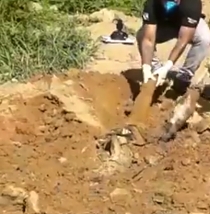 Finding a corpse in a shallow grave