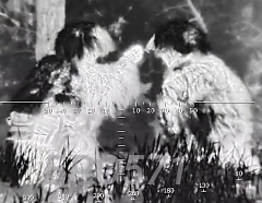 Russian snipers engaging Ukrainian soldiers (compilation)