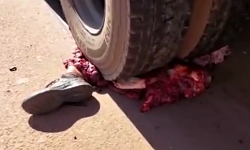 Serious motorcycle and trailer accident, 3 dead (aftermath)