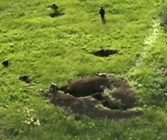 3rd Assault Brigade shows wounded and KIA Russian soldiers