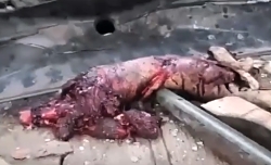 The remains of the ORC are waiting to go home