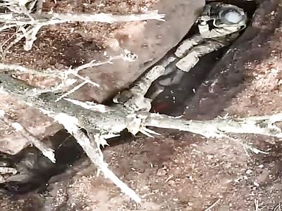 Ukrainian drone dropping grenades on entrenched RF soldiers