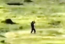 ORC is shown surrendering in the East of Ukraine