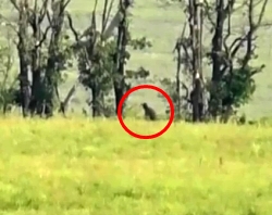 Ukrainian snipers working in Avdiivka