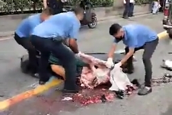 Damn: Hit and run victim