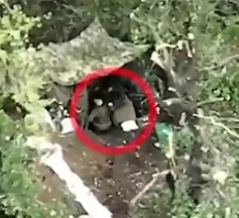 Sample liquidation of other ORCs