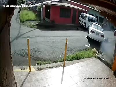 Stupid at the wheel.