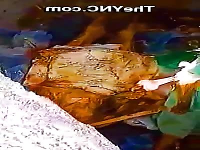 Brazil - Decomposing Bodies in Family Crypt 