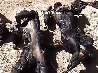 Perfect Crispy Corpses