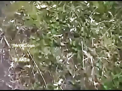 What do you think this could be?