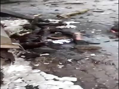 Several Dead Russians