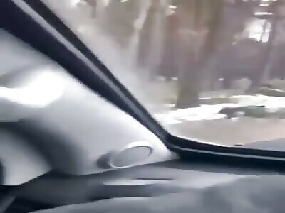 Dead Bodies On The Road