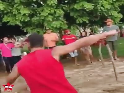 Brazilian killer horse (with aftermath)