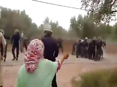 Bats against pebbles