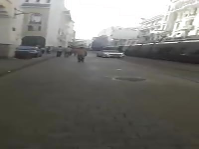 He drives quietly on the tracks of the tramway