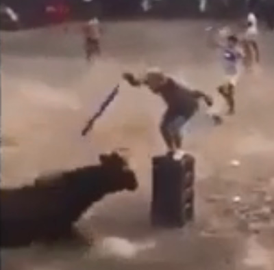 Playing with the Bulls Always Dangerous