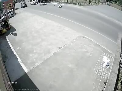 Man fatally collides with truck